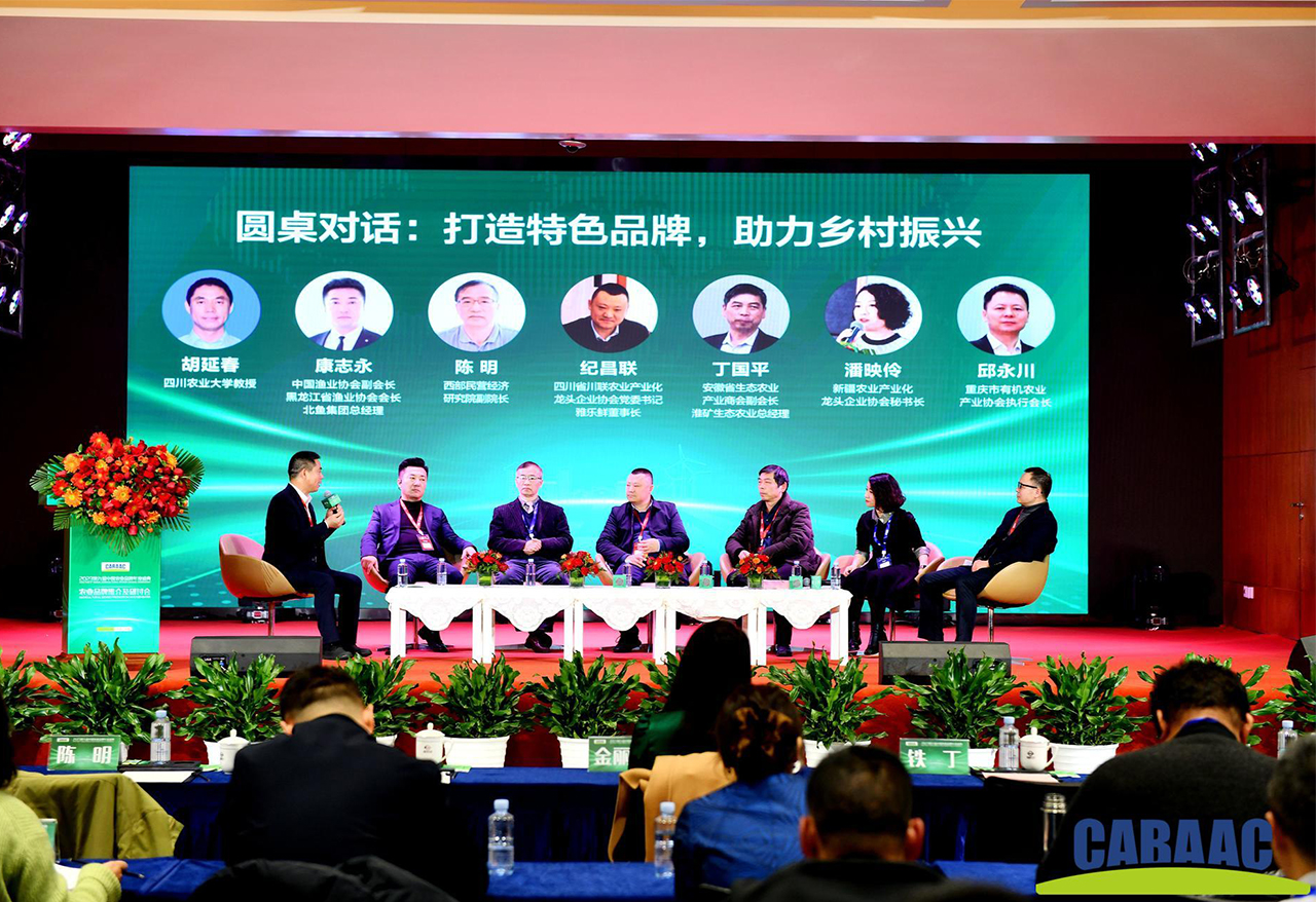 12312312.jpg 12312312.jpg